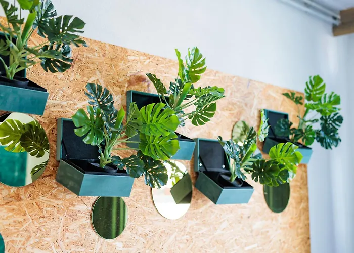 Hotel Auberge Nassau 3*