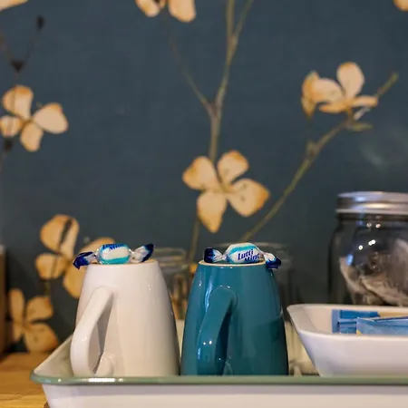 Nassau 게스트하우스 에인트호번